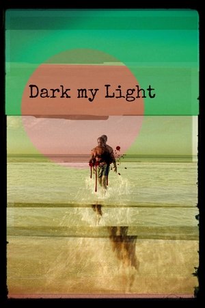 Dark My Light (2025) Hindi (MULTI AUDIO) – – HD Poster Download - filmyfly