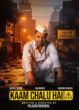 Kaam Chalu Hai 2024 Hindi Dual Audio HD Poster Download - filmyfly
