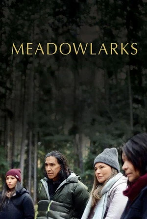Meadowlarks (2025) Hindi (MULTI AUDIO) – – HD Poster Download - filmyfly