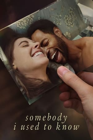 Somebody I Used to Know 2023 Hindi Dual Audio – HD Poster Download - filmyfly