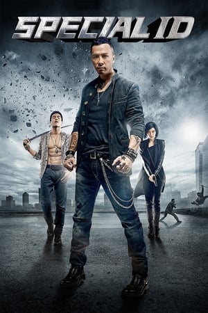 Special ID (2013) Hindi Dual Audio [150MB]