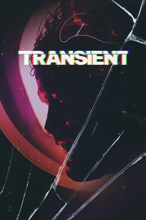 Transient (2024) Hindi (MULTI AUDIO) – – HD Poster Download - filmyfly