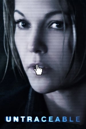 Untraceable (2008) Hindi Dual Audio 300MB HD Poster Download - filmyfly